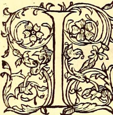 An illustration from Gvlielmi Rondeletii ... Libri de piscibus marinis, in quibus veræ piscium effigies expressæ sunt .., 1554, leaf 749