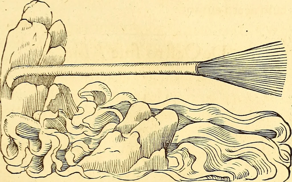 An illustration from Gvlielmi Rondeletii ... Libri de piscibus marinis, in quibus veræ piscium effigies expressæ sunt .., 1554, leaf 750
