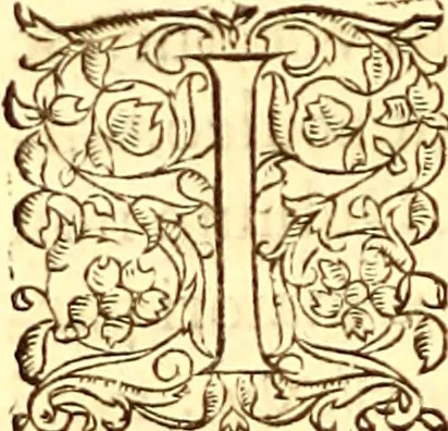 An illustration from Gvlielmi Rondeletii ... Libri de piscibus marinis, in quibus veræ piscium effigies expressæ sunt .., 1554, leaf 753