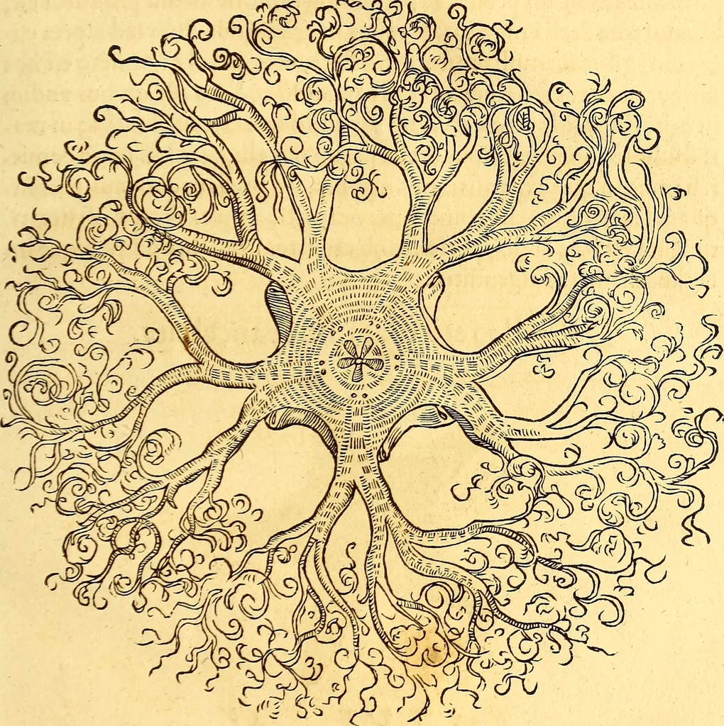 An illustration from Gvlielmi Rondeletii ... Libri de piscibus marinis, in quibus veræ piscium effigies expressæ sunt .., 1554, leaf 760