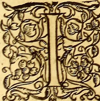 An illustration from Gvlielmi Rondeletii ... Libri de piscibus marinis, in quibus veræ piscium effigies expressæ sunt .., 1554, leaf 760