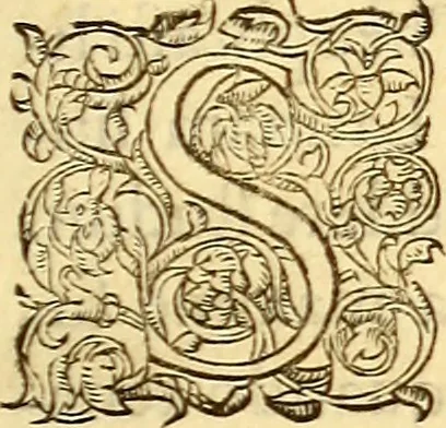 An illustration from Gvlielmi Rondeletii ... Libri de piscibus marinis, in quibus veræ piscium effigies expressæ sunt .., 1554, leaf 762