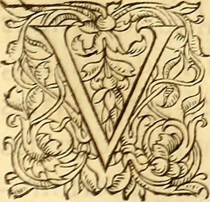 An illustration from Gvlielmi Rondeletii ... Libri de piscibus marinis, in quibus veræ piscium effigies expressæ sunt .., 1554, leaf 762