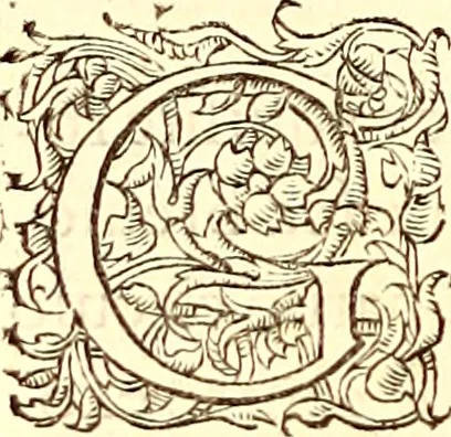 An illustration from Gvlielmi Rondeletii ... Libri de piscibus marinis, in quibus veræ piscium effigies expressæ sunt .., 1554, leaf 763