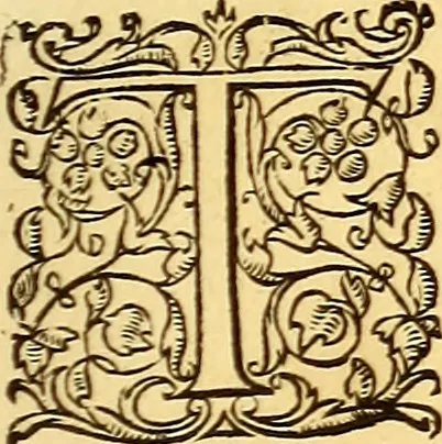 An illustration from Gvlielmi Rondeletii ... Libri de piscibus marinis, in quibus veræ piscium effigies expressæ sunt .., 1554, leaf 766