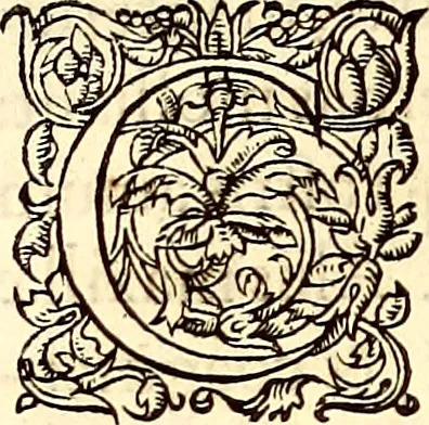 An illustration from Gvlielmi Rondeletii ... Libri de piscibus marinis, in quibus veræ piscium effigies expressæ sunt .., 1554, leaf 77