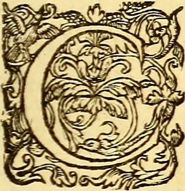An illustration from Gvlielmi Rondeletii ... Libri de piscibus marinis, in quibus veræ piscium effigies expressæ sunt .., 1554, leaf 770