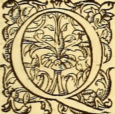 An illustration from Gvlielmi Rondeletii ... Libri de piscibus marinis, in quibus veræ piscium effigies expressæ sunt .., 1554, leaf 772