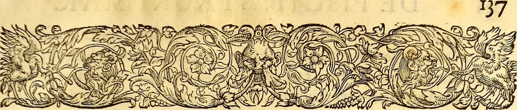 An illustration from Gvlielmi Rondeletii ... Libri de piscibus marinis, in quibus veræ piscium effigies expressæ sunt .., 1554, leaf 776