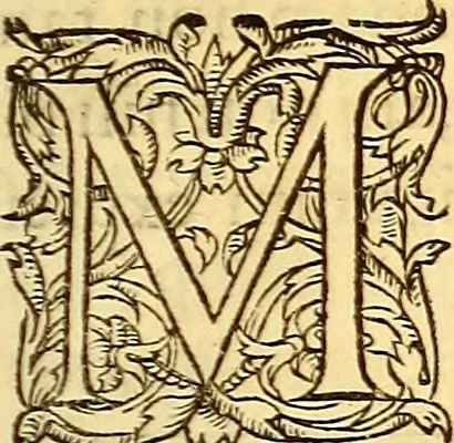 An illustration from Gvlielmi Rondeletii ... Libri de piscibus marinis, in quibus veræ piscium effigies expressæ sunt .., 1554, leaf 780