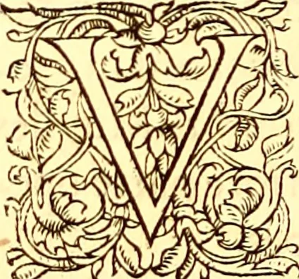 An illustration from Gvlielmi Rondeletii ... Libri de piscibus marinis, in quibus veræ piscium effigies expressæ sunt .., 1554, leaf 781