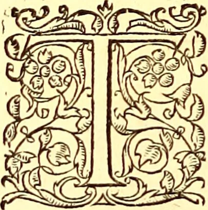 An illustration from Gvlielmi Rondeletii ... Libri de piscibus marinis, in quibus veræ piscium effigies expressæ sunt .., 1554, leaf 783