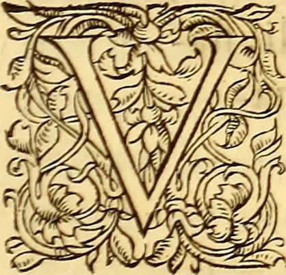 An illustration from Gvlielmi Rondeletii ... Libri de piscibus marinis, in quibus veræ piscium effigies expressæ sunt .., 1554, leaf 784