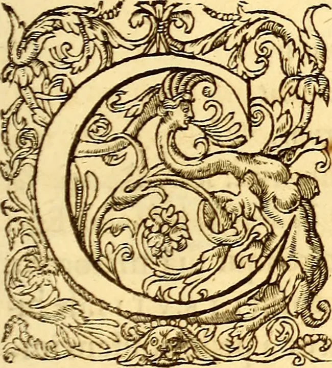 An illustration from Gvlielmi Rondeletii ... Libri de piscibus marinis, in quibus veræ piscium effigies expressæ sunt .., 1554, leaf 786