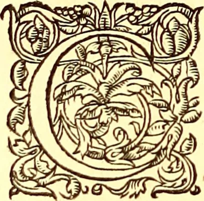 An illustration from Gvlielmi Rondeletii ... Libri de piscibus marinis, in quibus veræ piscium effigies expressæ sunt .., 1554, leaf 787