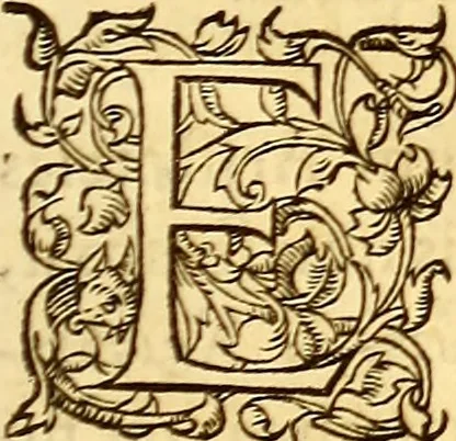 An illustration from Gvlielmi Rondeletii ... Libri de piscibus marinis, in quibus veræ piscium effigies expressæ sunt .., 1554, leaf 788