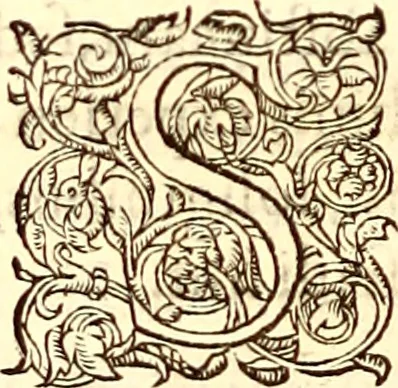 An illustration from Gvlielmi Rondeletii ... Libri de piscibus marinis, in quibus veræ piscium effigies expressæ sunt .., 1554, leaf 79