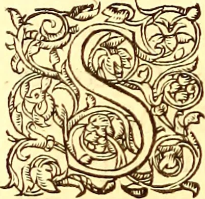 An illustration from Gvlielmi Rondeletii ... Libri de piscibus marinis, in quibus veræ piscium effigies expressæ sunt .., 1554, leaf 793