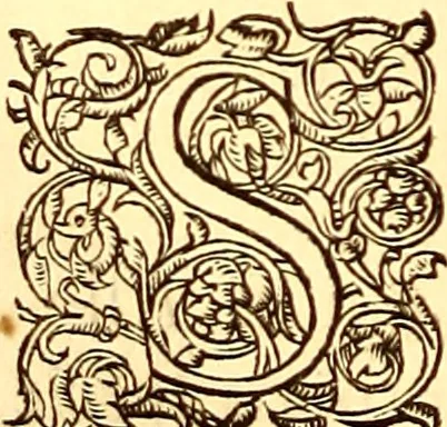An illustration from Gvlielmi Rondeletii ... Libri de piscibus marinis, in quibus veræ piscium effigies expressæ sunt .., 1554, leaf 795
