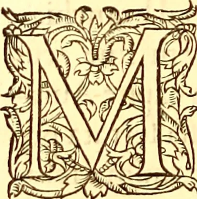 An illustration from Gvlielmi Rondeletii ... Libri de piscibus marinis, in quibus veræ piscium effigies expressæ sunt .., 1554, leaf 797