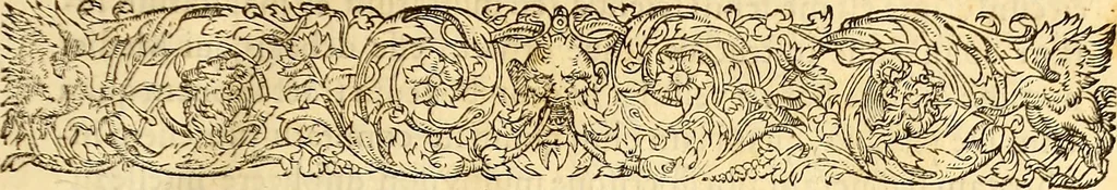 An illustration from Gvlielmi Rondeletii ... Libri de piscibus marinis, in quibus veræ piscium effigies expressæ sunt .., 1554, leaf 8