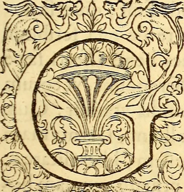 An illustration from Gvlielmi Rondeletii ... Libri de piscibus marinis, in quibus veræ piscium effigies expressæ sunt .., 1554, leaf 8