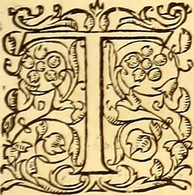 An illustration from Gvlielmi Rondeletii ... Libri de piscibus marinis, in quibus veræ piscium effigies expressæ sunt .., 1554, leaf 800