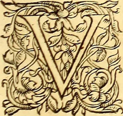 An illustration from Gvlielmi Rondeletii ... Libri de piscibus marinis, in quibus veræ piscium effigies expressæ sunt .., 1554, leaf 802