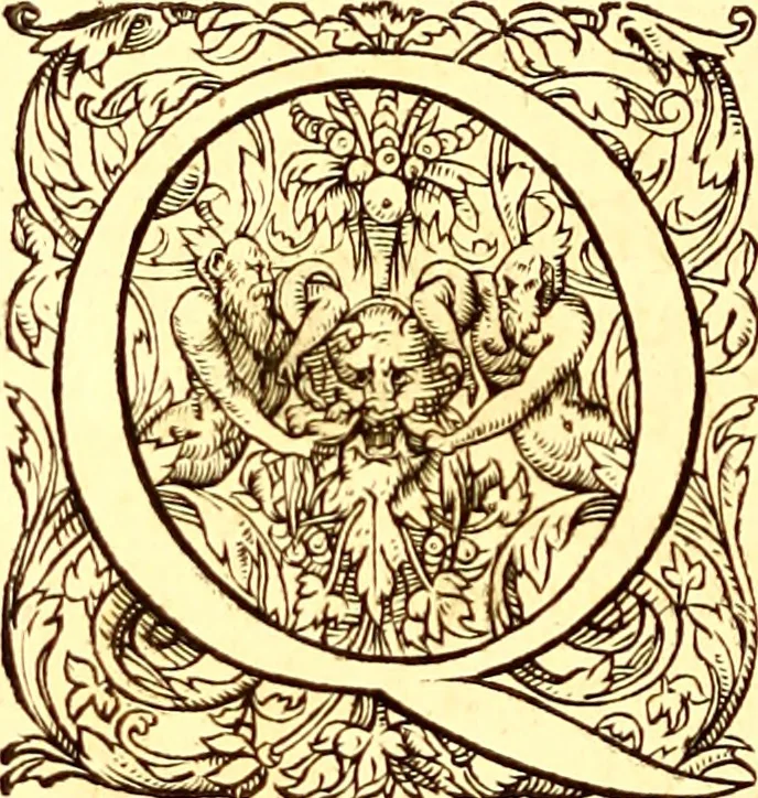 An illustration from Gvlielmi Rondeletii ... Libri de piscibus marinis, in quibus veræ piscium effigies expressæ sunt .., 1554, leaf 805