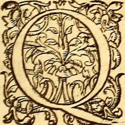 An illustration from Gvlielmi Rondeletii ... Libri de piscibus marinis, in quibus veræ piscium effigies expressæ sunt .., 1554, leaf 808