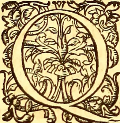 An illustration from Gvlielmi Rondeletii ... Libri de piscibus marinis, in quibus veræ piscium effigies expressæ sunt .., 1554, leaf 811