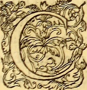 An illustration from Gvlielmi Rondeletii ... Libri de piscibus marinis, in quibus veræ piscium effigies expressæ sunt .., 1554, leaf 816