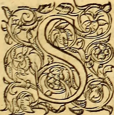 An illustration from Gvlielmi Rondeletii ... Libri de piscibus marinis, in quibus veræ piscium effigies expressæ sunt .., 1554, leaf 82