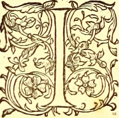 An illustration from Gvlielmi Rondeletii ... Libri de piscibus marinis, in quibus veræ piscium effigies expressæ sunt .., 1554, leaf 827
