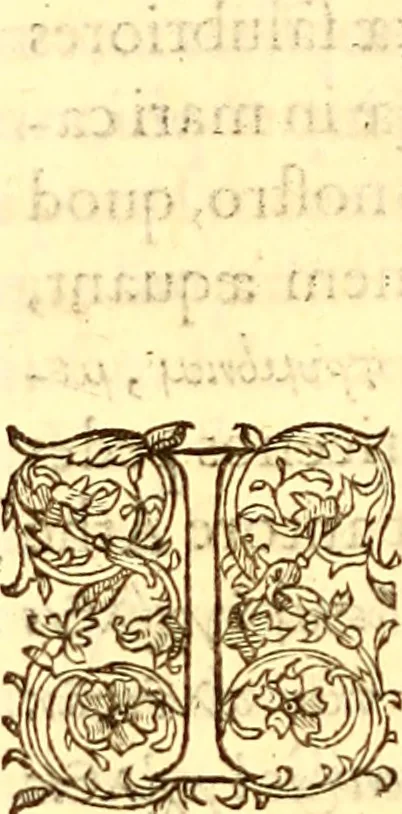 An illustration from Gvlielmi Rondeletii ... Libri de piscibus marinis, in quibus veræ piscium effigies expressæ sunt .., 1554, leaf 841