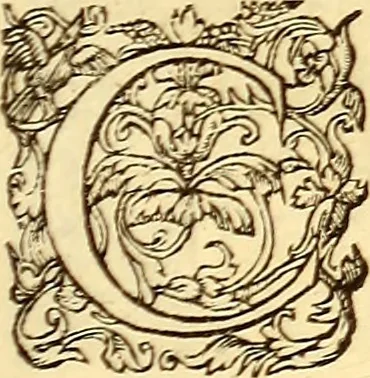 An illustration from Gvlielmi Rondeletii ... Libri de piscibus marinis, in quibus veræ piscium effigies expressæ sunt .., 1554, leaf 842