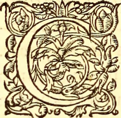 An illustration from Gvlielmi Rondeletii ... Libri de piscibus marinis, in quibus veræ piscium effigies expressæ sunt .., 1554, leaf 843