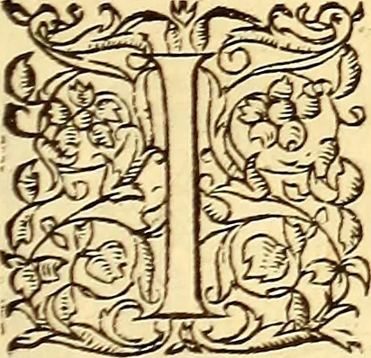 An illustration from Gvlielmi Rondeletii ... Libri de piscibus marinis, in quibus veræ piscium effigies expressæ sunt .., 1554, leaf 844
