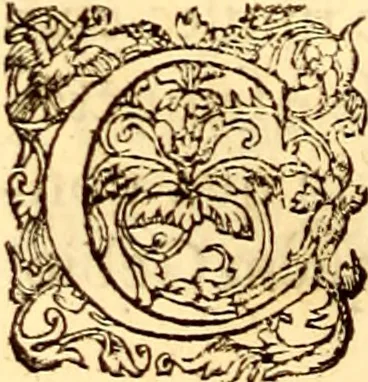 An illustration from Gvlielmi Rondeletii ... Libri de piscibus marinis, in quibus veræ piscium effigies expressæ sunt .., 1554, leaf 847