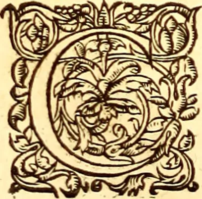 An illustration from Gvlielmi Rondeletii ... Libri de piscibus marinis, in quibus veræ piscium effigies expressæ sunt .., 1554, leaf 851