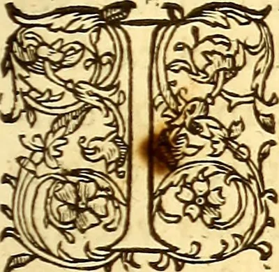 An illustration from Gvlielmi Rondeletii ... Libri de piscibus marinis, in quibus veræ piscium effigies expressæ sunt .., 1554, leaf 852