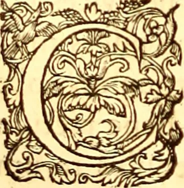 An illustration from Gvlielmi Rondeletii ... Libri de piscibus marinis, in quibus veræ piscium effigies expressæ sunt .., 1554, leaf 853