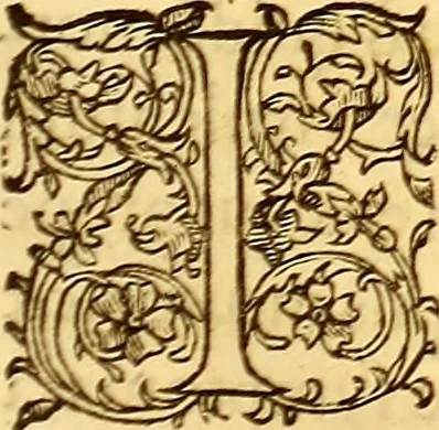 An illustration from Gvlielmi Rondeletii ... Libri de piscibus marinis, in quibus veræ piscium effigies expressæ sunt .., 1554, leaf 858