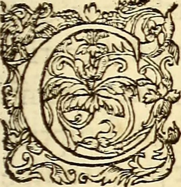 An illustration from Gvlielmi Rondeletii ... Libri de piscibus marinis, in quibus veræ piscium effigies expressæ sunt .., 1554, leaf 86