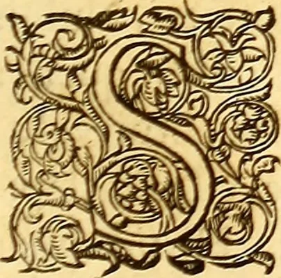 An illustration from Gvlielmi Rondeletii ... Libri de piscibus marinis, in quibus veræ piscium effigies expressæ sunt .., 1554, leaf 864