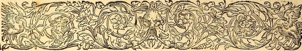An illustration from Gvlielmi Rondeletii ... Libri de piscibus marinis, in quibus veræ piscium effigies expressæ sunt .., 1554, leaf 867