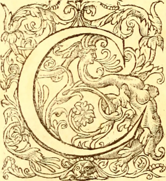 An illustration from Gvlielmi Rondeletii ... Libri de piscibus marinis, in quibus veræ piscium effigies expressæ sunt .., 1554, leaf 867