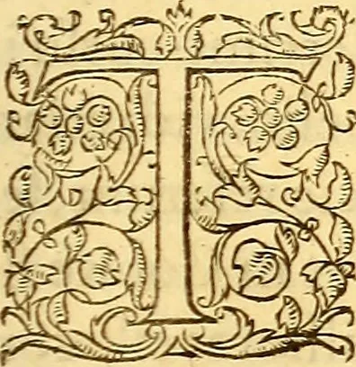An illustration from Gvlielmi Rondeletii ... Libri de piscibus marinis, in quibus veræ piscium effigies expressæ sunt .., 1554, leaf 868
