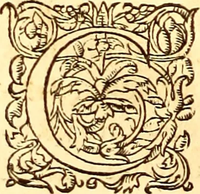 An illustration from Gvlielmi Rondeletii ... Libri de piscibus marinis, in quibus veræ piscium effigies expressæ sunt .., 1554, leaf 871