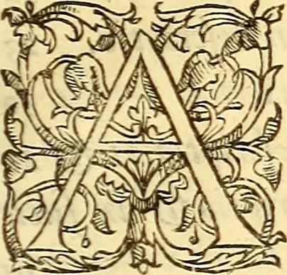 An illustration from Gvlielmi Rondeletii ... Libri de piscibus marinis, in quibus veræ piscium effigies expressæ sunt .., 1554, leaf 882